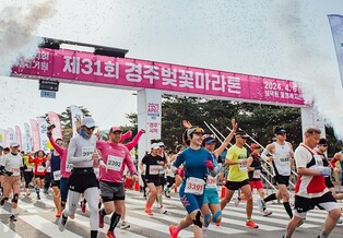 벚꽃 보며 시가지 달린다…내일 경주서 벚꽃마라톤대회 개최