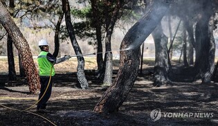 국가유산 산불 피해 누적 35건…안동 지촌제청 등 피해