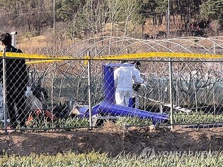 (LEAD) 1 pilot killed in firefighting helicopter crash in Daegu