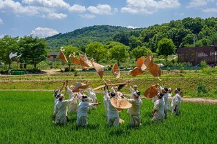 증평 장뜰두레농요, 충북도 무형유산 지정 추진