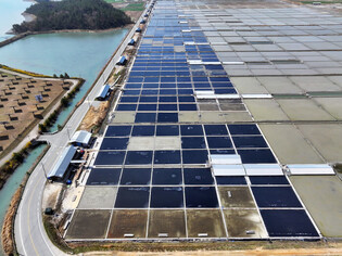 Taepyung Salt Farm cleared of forced labor after U.S. import ban