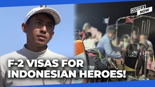 3 Indonesians granted long-term residency for saving lives during wildfire