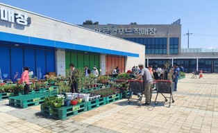 태안로컬푸드직매장서 20일까지 봄꽃축제…화훼류 50여종 판매