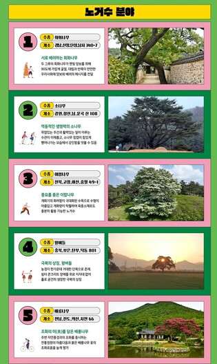 산림청, 노거수 5그루·보호수 5그루 '올해의 나무'로 선정