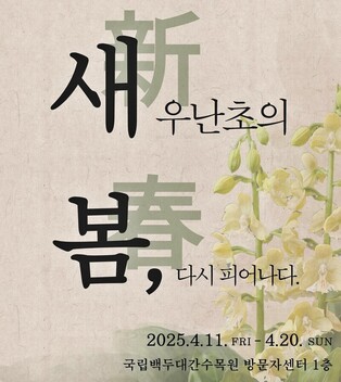 "백두대간수목원으로 새우난초 구경오세요" 11∼20일 특별전시회
