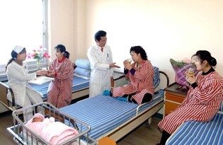 N. Korea's maternal mortality rate estimated at 67: report