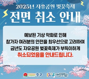 인천 자유공원 벚꽃 축제 취소…태풍급 강풍 예보