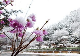 Snow in spring
