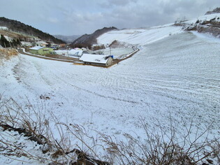 Coastal town covered in snow