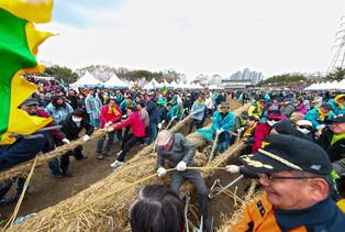 Tug of war festival