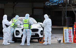 Foot-and-mouth disease outbreak in S. Korea