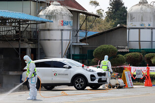 Foot-and-mouth disease outbreak in S. Korea