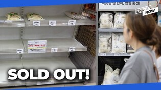 S. Korea exports largest amount of rice to Japan in 35 years