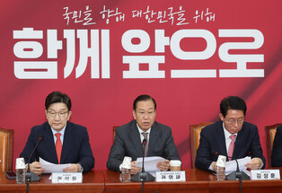 Conservative party's interim leader