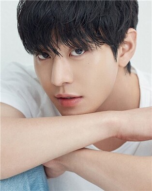 Ahn Hyo-seop Cast in Netflix Animated Film 'K-Pop: Demon Hunters'