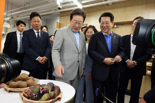 Liberal party's presidential hopeful