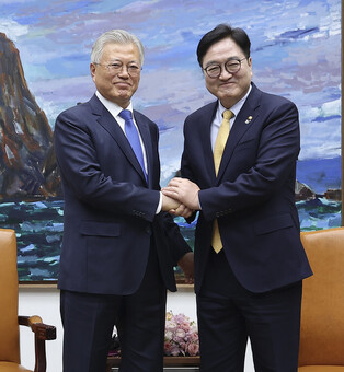 Ex-president meets parliamentary leader