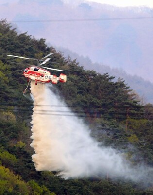 Inje forest fire