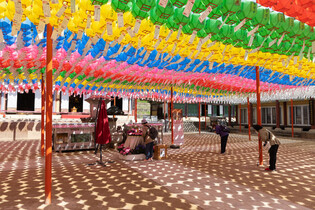 Ahead of Buddha's Birthday