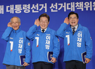 DP's election committee for June presidential election