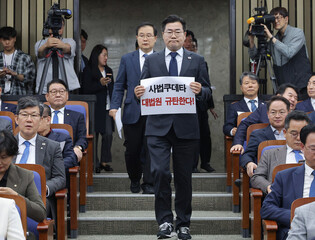 Supreme Court strikes down DP presidential candidate's acquittal