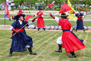 Demonstration of traditional martial arts