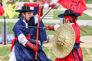 Demonstration of traditional martial arts