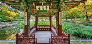 Meditative Stroll Through a Royal Garden: ‘Silent Serenity’ to Be Held at Changdeokgung