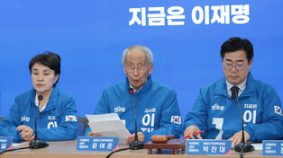 DP's election committee for June presidential election