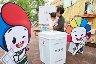 Run-up to June 3 presidential election