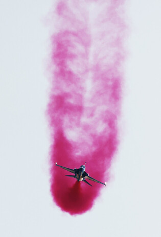 Black Eagles perform