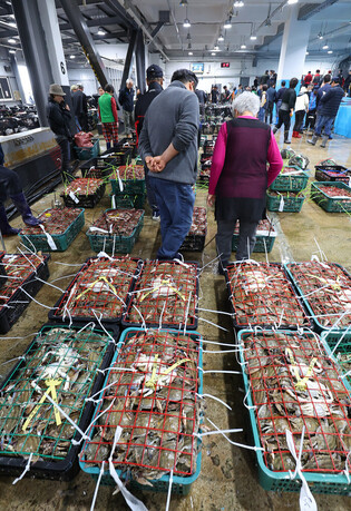Bidding at crab market