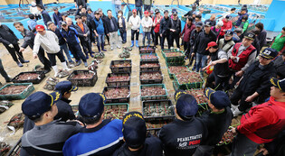 Bidding at crab market