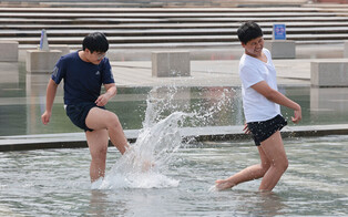 Early summer weather