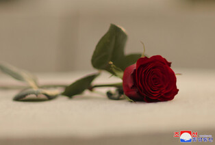 N. Korea's Kim pays tribute to prominent military figure