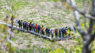 1st Ramsar site in S. Korea