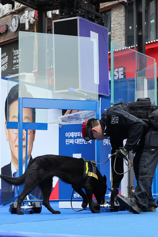 Liberal party's presidential candidate