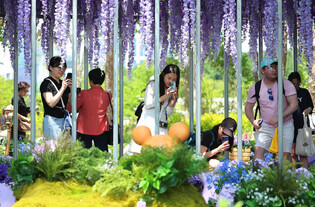 Garden show