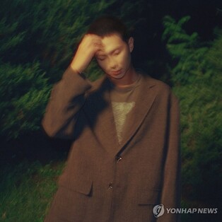 BTS RM '로스트'로 '샤크 뮤비 어워즈' 3관왕…피처링 곡도 수상