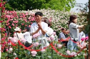 Gokseong World Rose Festival Draws 250,000 Visitors Over 10 Days