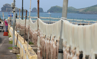 Drying squid