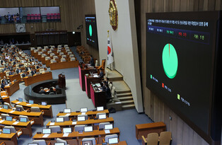 Passage of bill on special investigation into ex-first lady