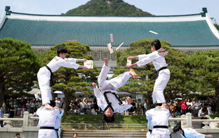 Taekwondo performance at Cheong Wa Dae