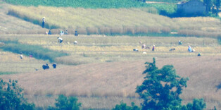 N. Korea appears to pause broadcasts of loud noises toward South