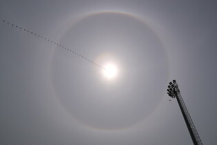 Solar halo observed in S. Korea