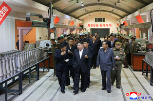 N. Korean leader inspects munitions plant