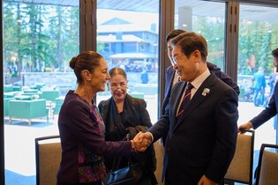 S. Korea-Mexico talks