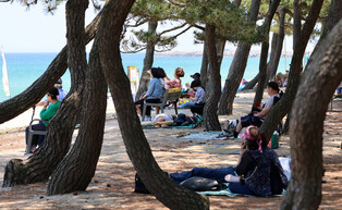 Warm weather in S. Korea