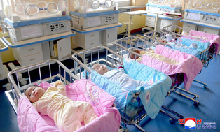 1st birth of quintuplets in N. Korea