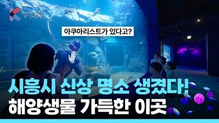 해양생태과학관인데 사진 명소임, 가족부터 커플까지 다 즐기는 시흥시의 이곳